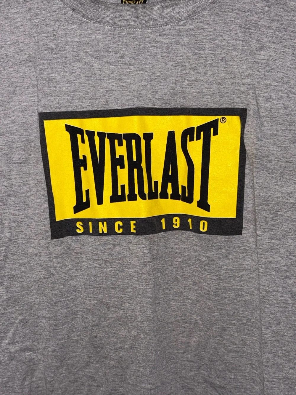 Everlast Gray Short Sleeve Tee with Yellow Logo Youth Boys size 18(XL)